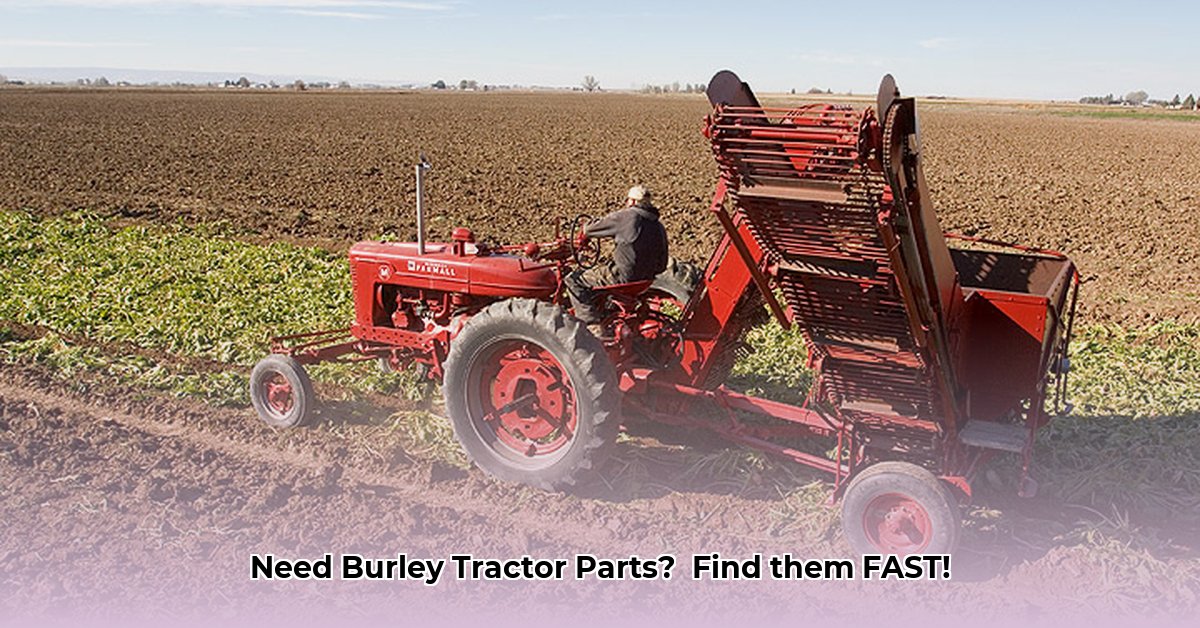 burley-tractor-salvage-paul-id